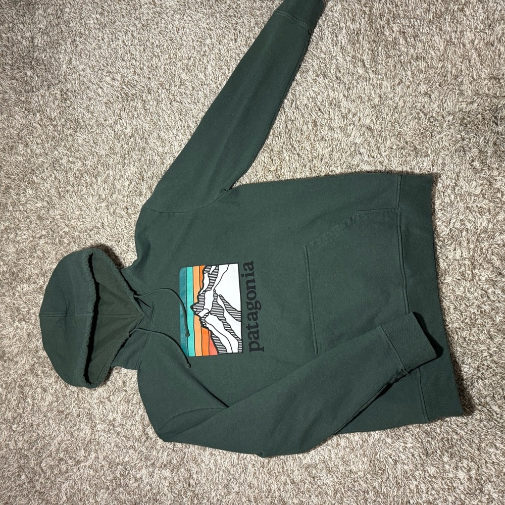 Patagonia hoodie